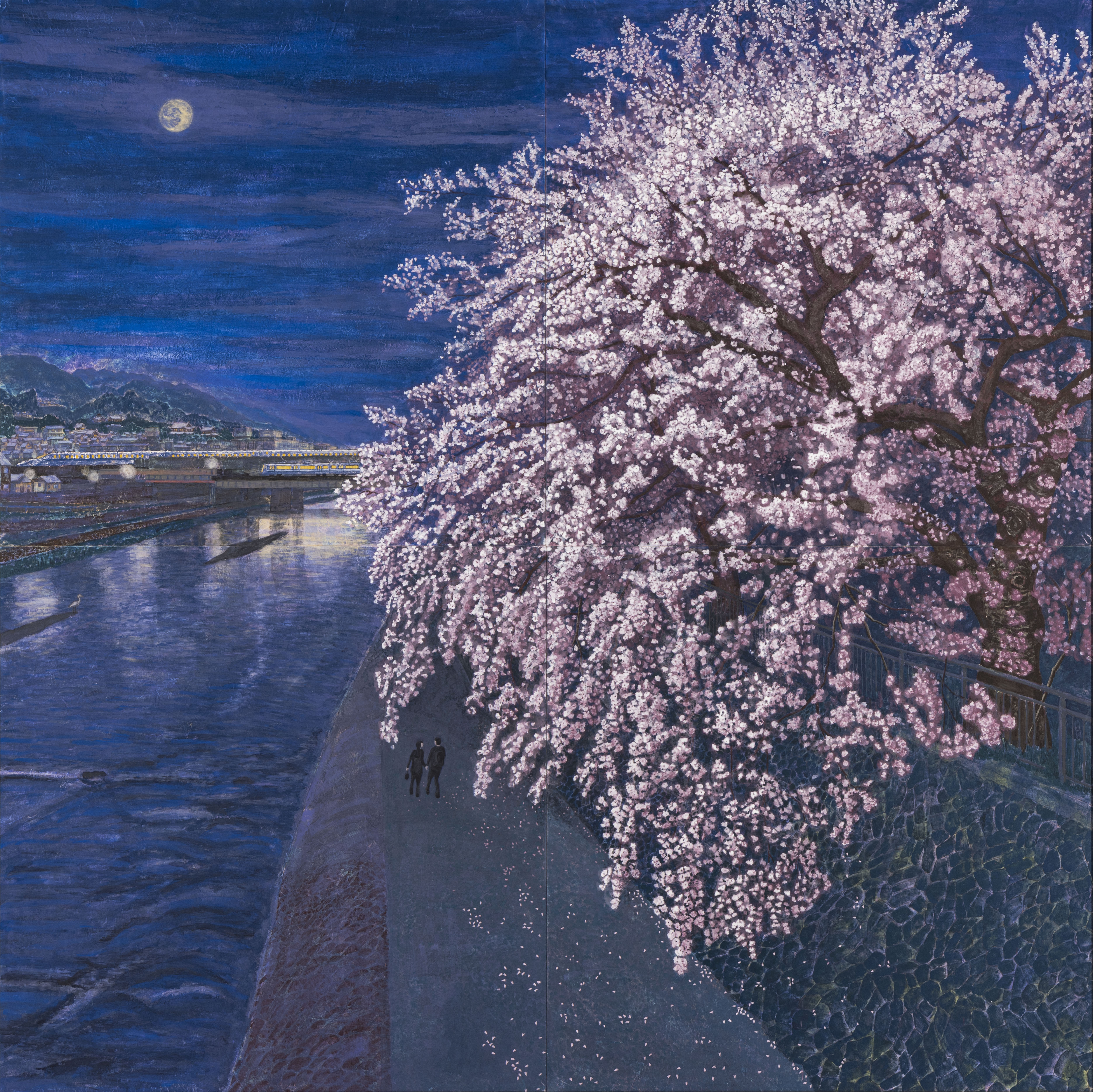 鴨川夜桜